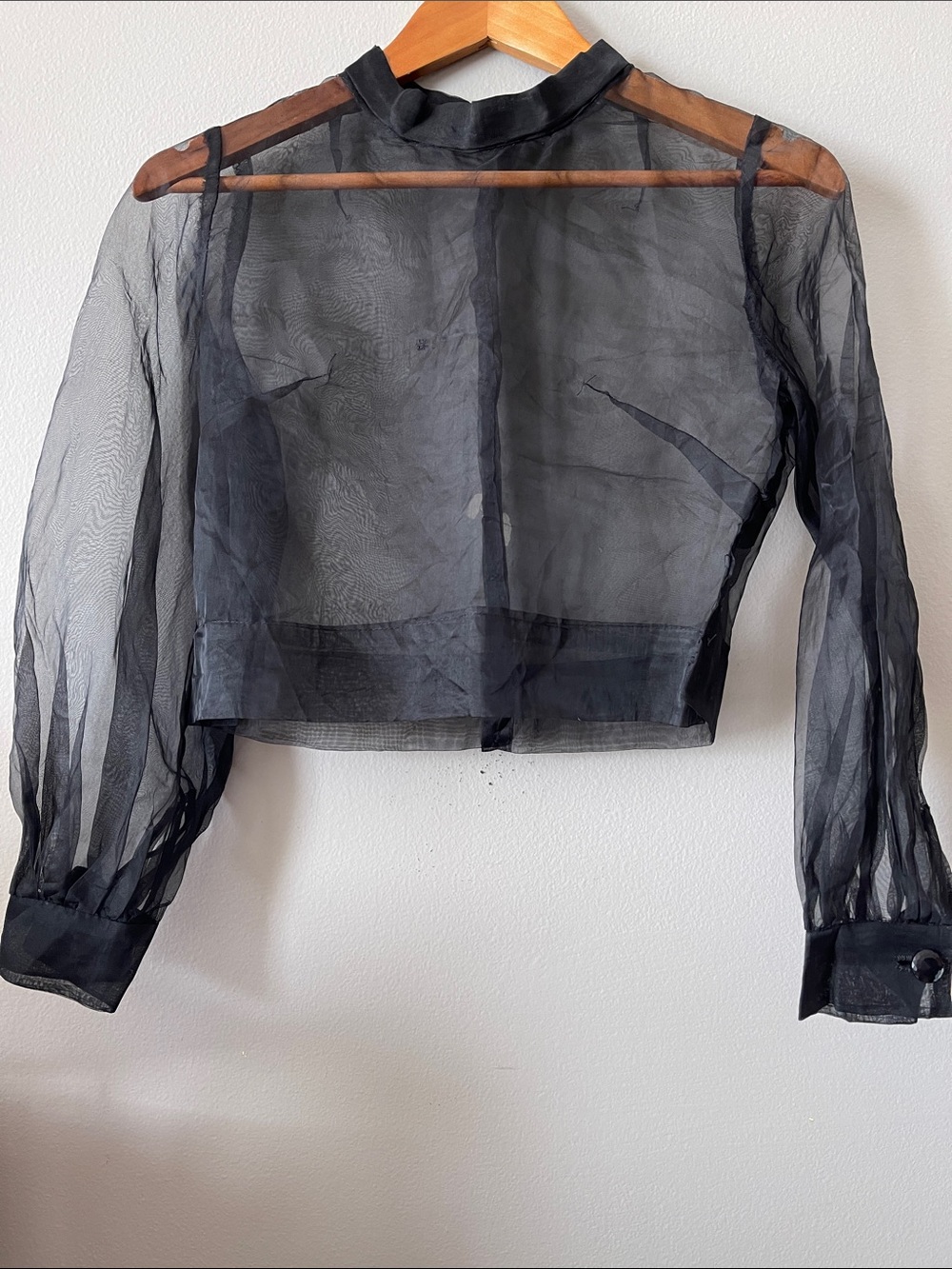Sheer Black Cropped Long Sleeve Blouse